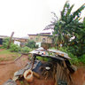 Cooking of chicken at the back of the house, Benin City, Nigeria
