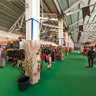 Hunting&fishing fair
