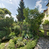 backdoor garden