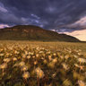 Veadeiros Tablelands 2