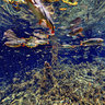 Olho D'agua water spring3