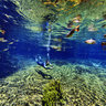 Olho dagua water spring 3