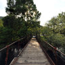 Bridge On Zeta River
