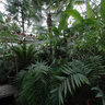 Greenhouse, Biological Research Center, Jibou, Romania