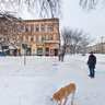 snow scene in Subotica