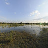 The Danube Delta at Sfantu Gheorghe, Romania