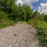 Natur pur II