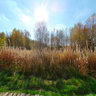 -Rhön- Schwarzes Moor - Moorpfad