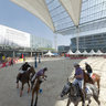 Arena Polo at the Airport