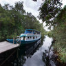 Camp Leakey, Tanjung Puting National Park, Kalimantan