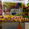 Street Vendor, Campbell Lane, Little India, Singapore