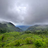 Tea Plantations, Haputale, Sri Lanka