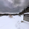 The last resting place of Lester B Pearson, Wakefield, Quebec
