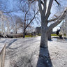 Ice Covering, Rideau Falls, Ottawa
