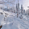 Wintertime