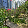 Hongkong - Oasis
