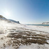 Arctic Fjord