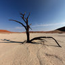 Dead Vlei