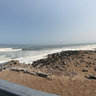 Seal Colony at Cape Cross