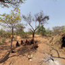 Village of the San Bushmen