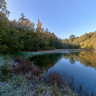 Bergteich zw. Alsfeld und Romrod