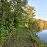 Mehlbacher Teich