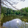 Sebbelsee