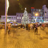 Christmas Markets