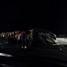 Barrow Whale (10 Oct 08 0256)