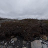 Collecting invertebrates on the Hulahula River 110613 1646