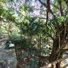 Hainan - water mill