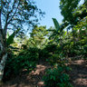 La Dalia farm
