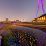 MichAdel | Taipei Xinbei Bridge(New Taipei City Bridge) Sunset