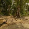 Trip Panama Bocas del Toro  16
