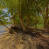 Trip Panama Bocas del Toro  19
