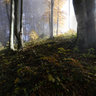 Gruenberg Gmunden - Fall/Winter November 2011