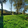 Lago Di Revine 2