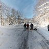 Meeting my friends walking the dogs