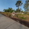 Palencia Golf Course in St Augustine, Florida