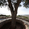 LAGUNA FUENTE DE PIEDRA