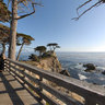 The Lone Cypress, gorgeous tree on the rock, 17 Miles Drive, Monterey, California