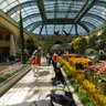 Flower Garden, Bellagio Hotel