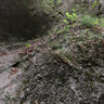 Hlbocka valley - rocky gorge