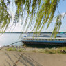 Relaxing at the Danube
