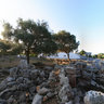 Taula de Binissafullet ( Sant Lluís )