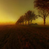 Burning grass