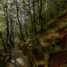On the stairs.Mons Klint