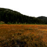 Grass Lake Luther Pass