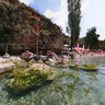Gradiste Camp/Car Camp - Ohrid Lake, Macedonia