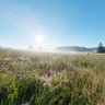 Novohradske mountains - meadow2